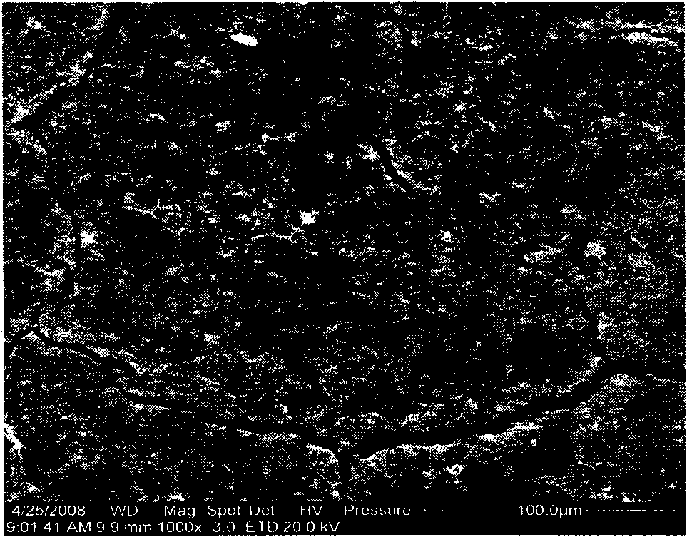 Gas diffusion layer for proton exchange membrane fuel cells and preparation method thereof