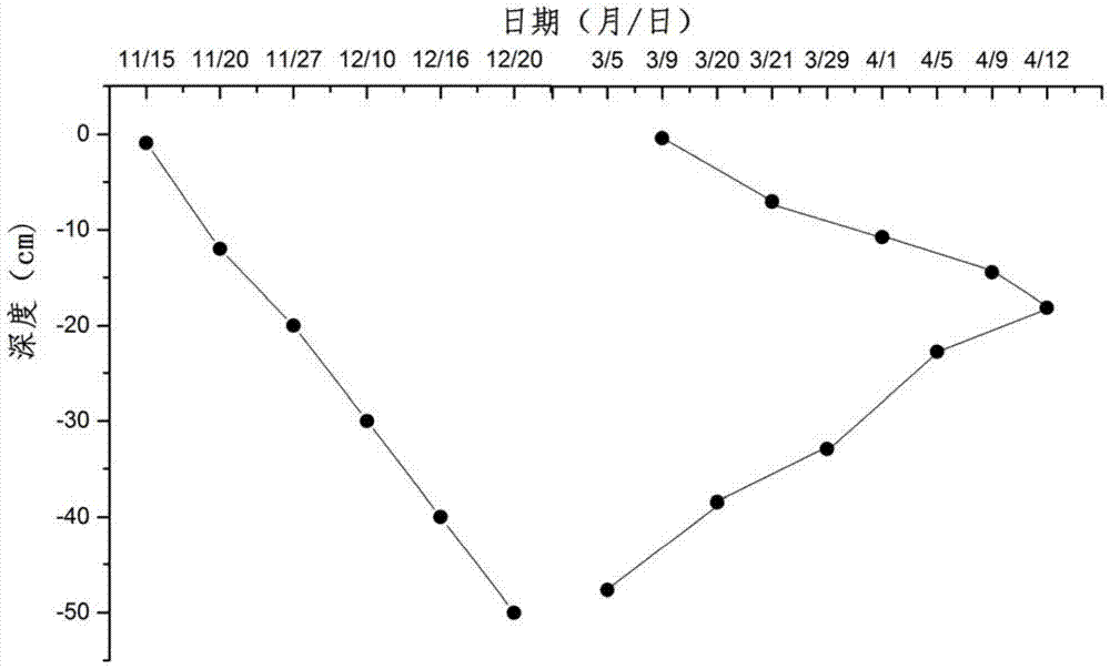 In-situ monitoring soil freeze-thaw device and method for measuring soil carbon loss based on the device