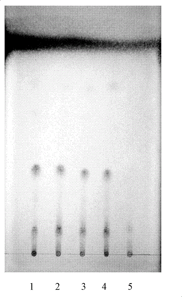 Zengyetang formula granules and its preparation method, application and detection method