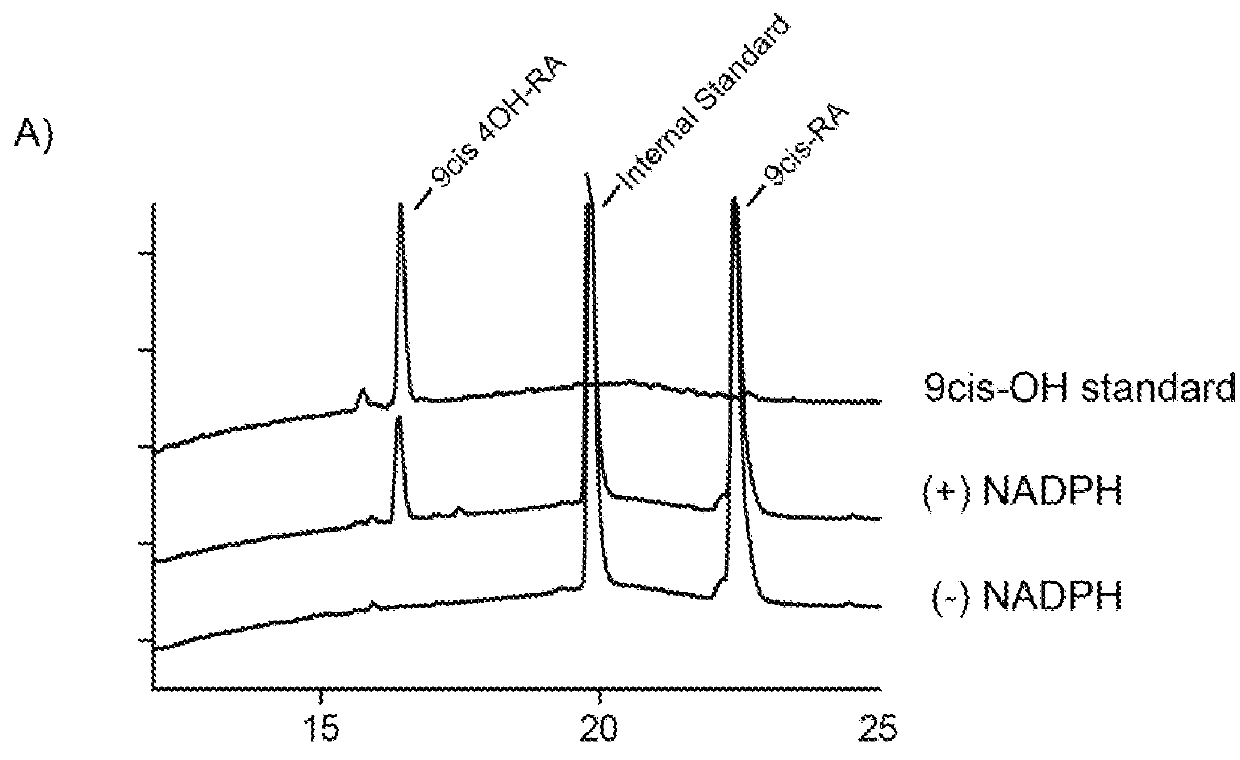 Specific inhibitors of cytochrome P450 26 retinoic acid hydroxylase