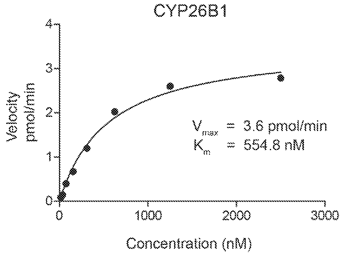 Specific inhibitors of cytochrome P450 26 retinoic acid hydroxylase