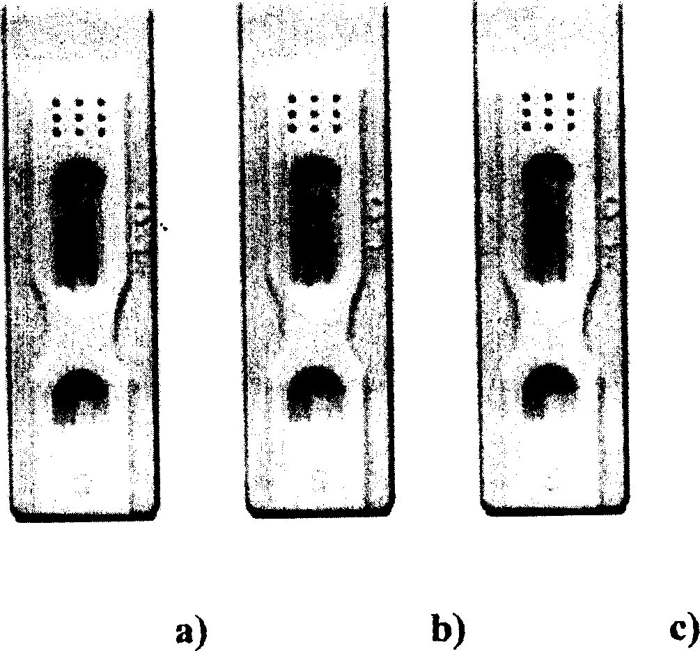 H5 subtype avian flu virus hemagglutinin protein monoclonal antibody, and its preparing method and use