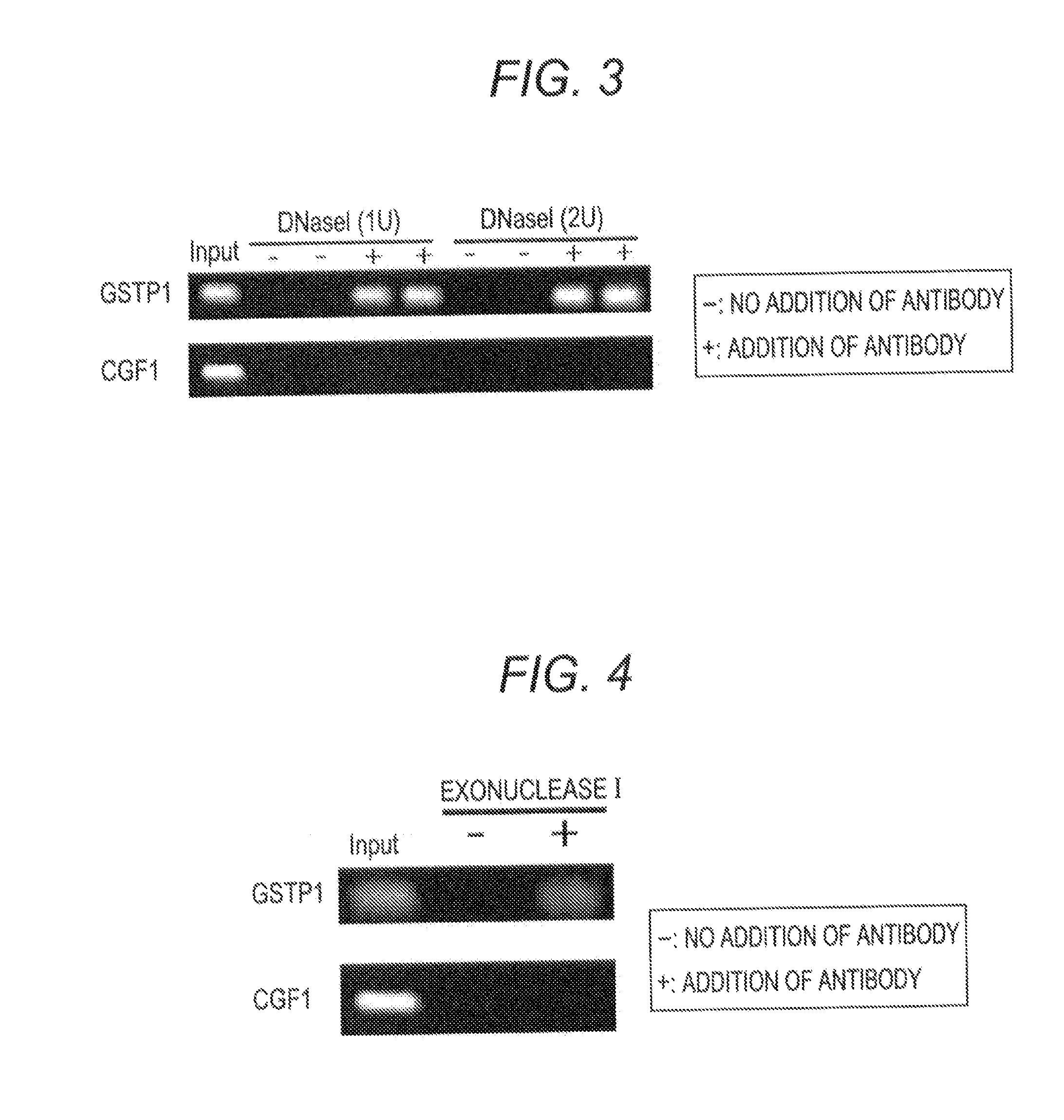 Method of detecting methylated DNA in sample