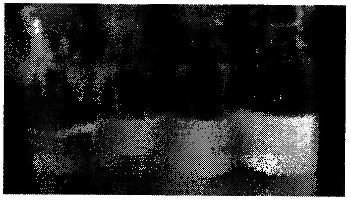 Preparation method of lipidosome and method for producing lipidosome adjuvant