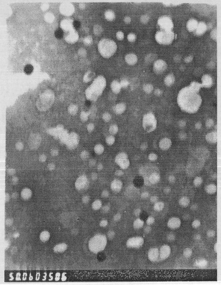 Novel long-circulating liposome composition and preparation method thereof