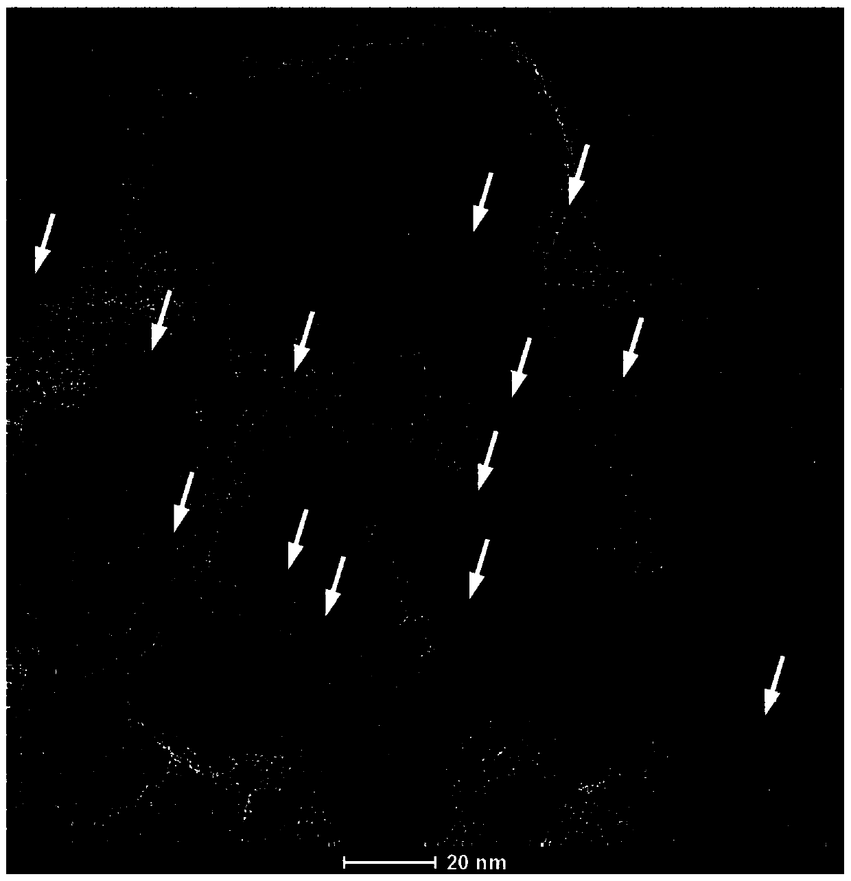 Carbon-loaded super-small-size precious metal nanoparticle catalyst and preparation method