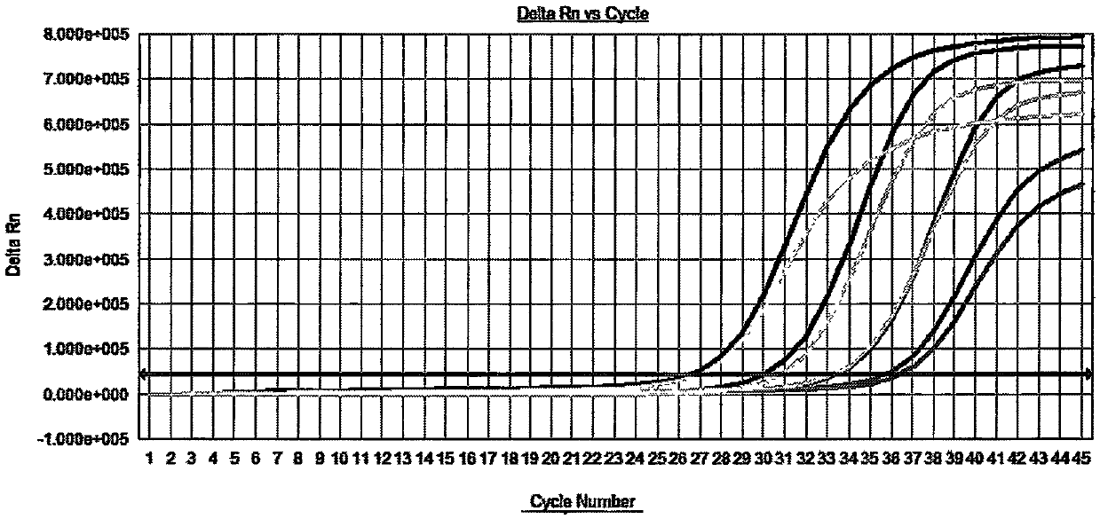 RNA type sample preservation and dilution liquid and preparation thereof