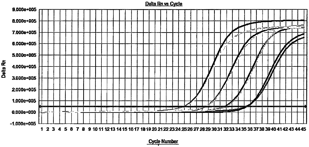 RNA type sample preservation and dilution liquid and preparation thereof