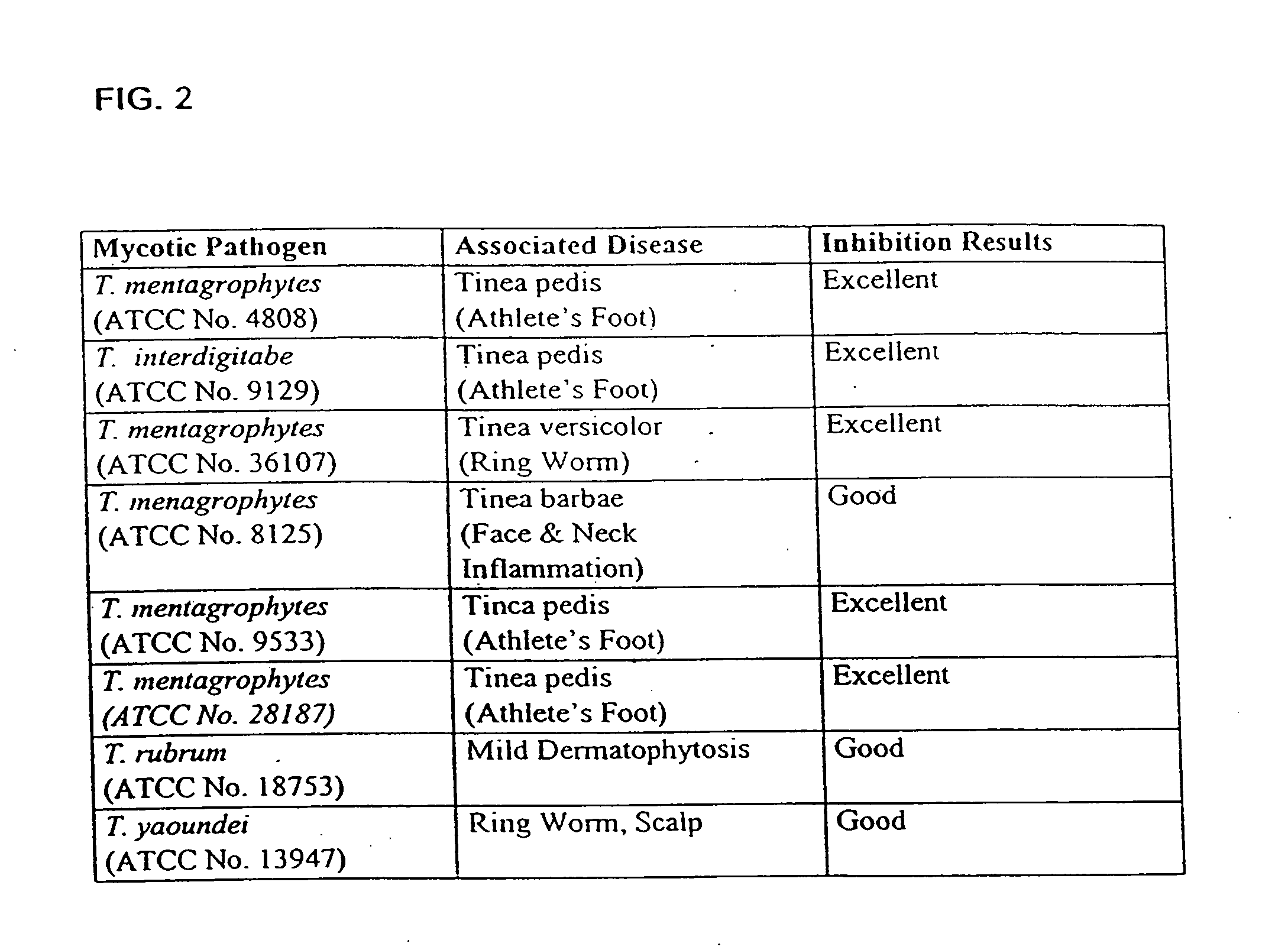 Probiotic, lactic acid-producing bacteria and uses thereof