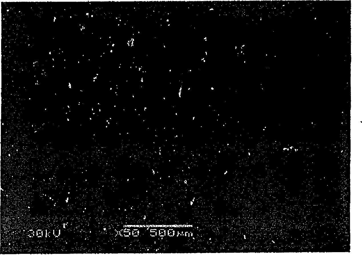 Oxide-bonded silicon carbide material