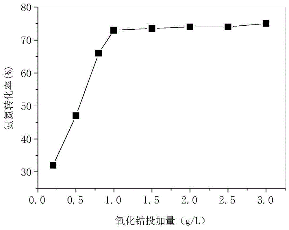 Process for treating ammonia-nitrogen wastewater with medium and low concentration through catalytic ozonation of metallic oxides