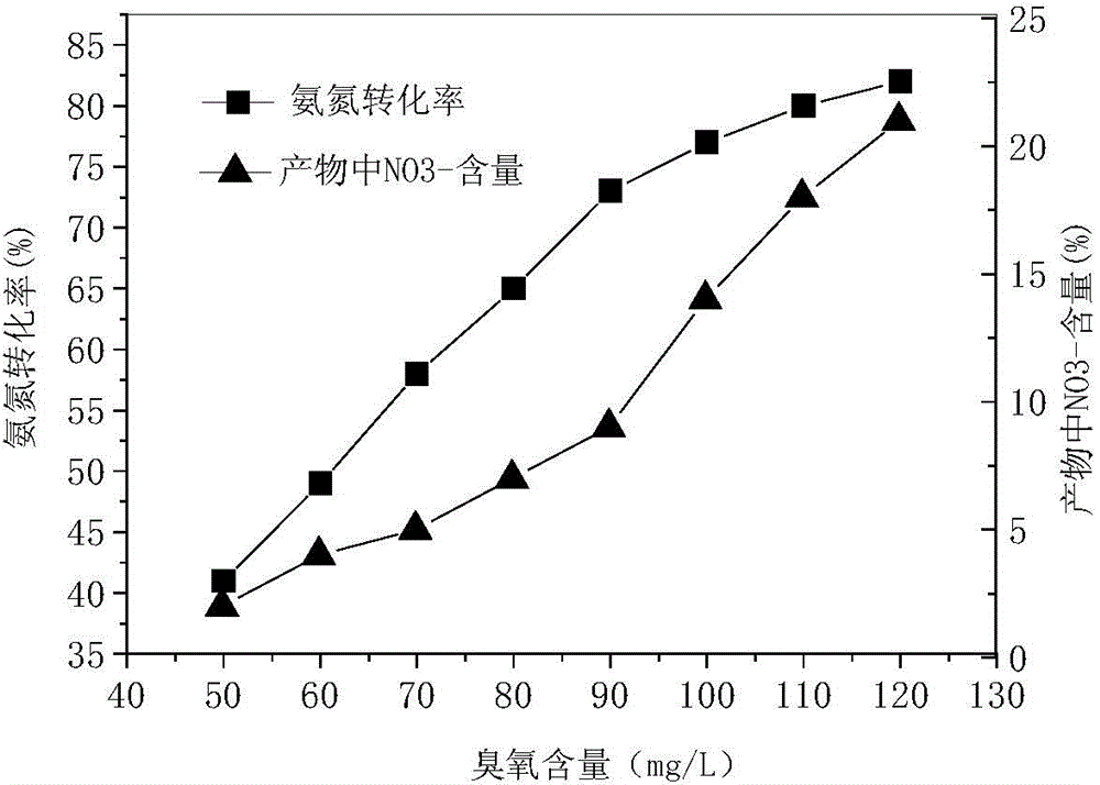 Process for treating ammonia-nitrogen wastewater with medium and low concentration through catalytic ozonation of metallic oxides