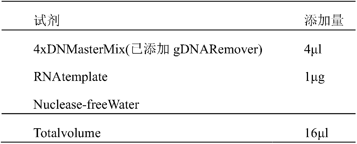 Skin care product customization method based on gene detection