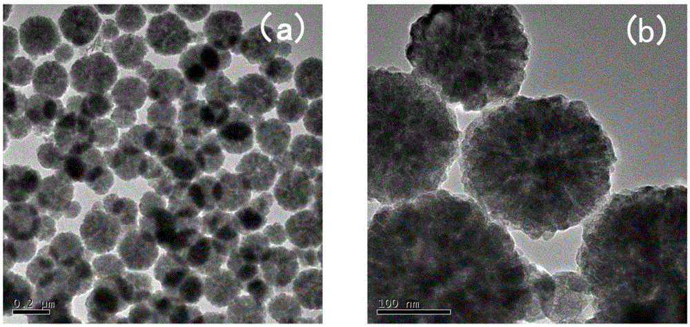 Magnetic nanocomposite as well as preparation method and application thereof