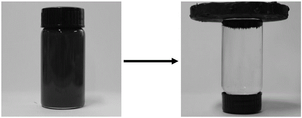 Magnetic nanocomposite as well as preparation method and application thereof