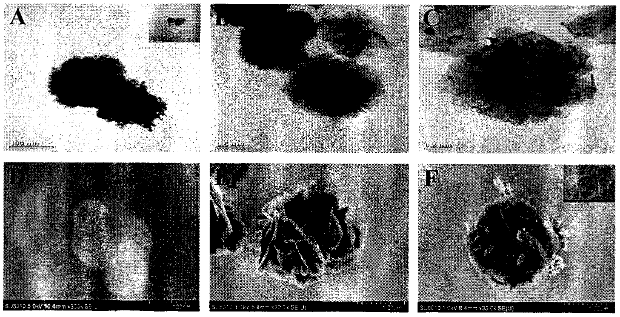 Preparation method of electrochemical sensor for detecting zearalenone in grain or feed