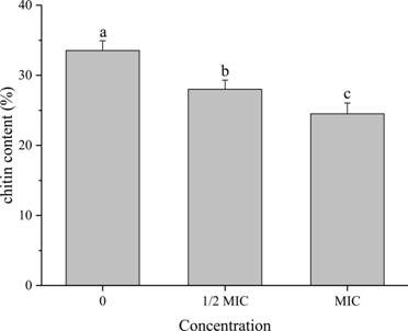 Experimental method for using paeonol as aspergillus flavus bacteriostatic agent