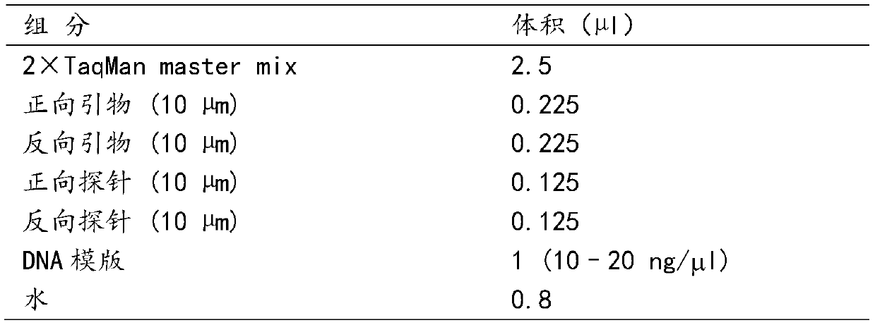 A SNP marker associated with the prognosis of patients with esophageal cancer and its application