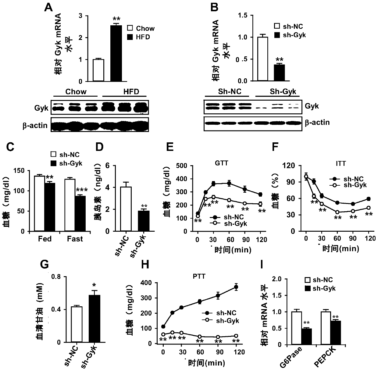 Use of glycerol kinase as a therapeutic target for disorders of glucose metabolism