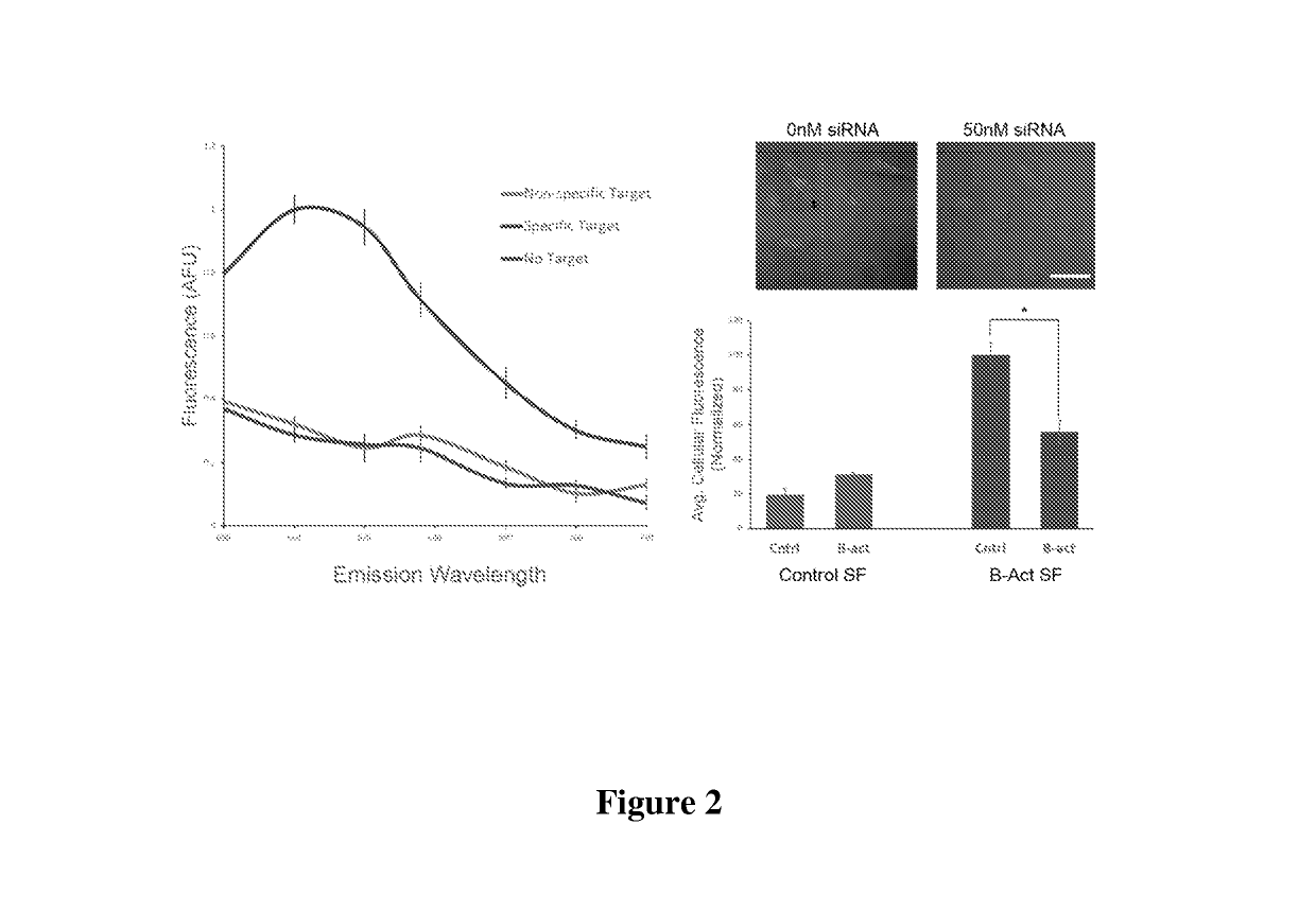 Quantification and spatio-temporal tracking of a target using a spherical nucleic acid (SNA)