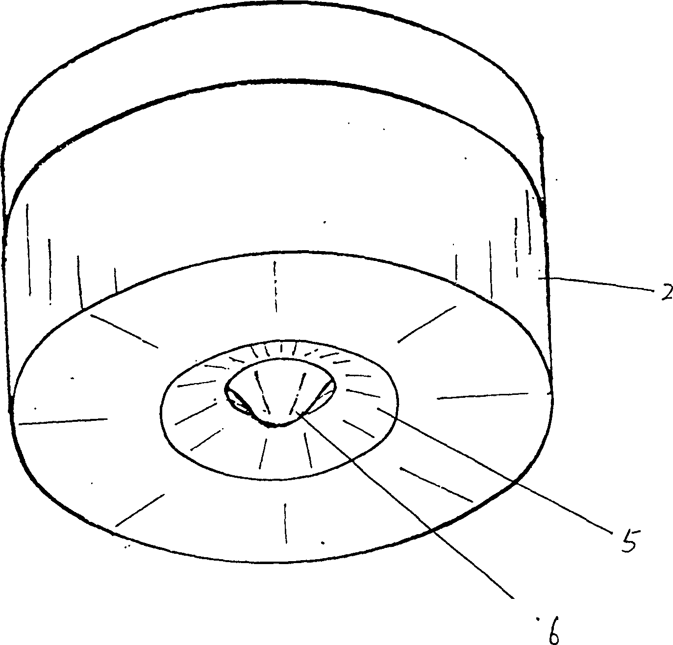 Anti-fake package bottle and its making process