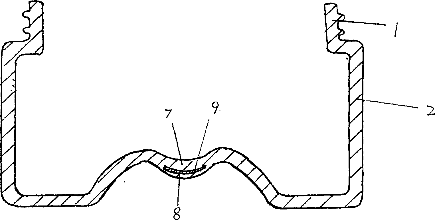 Anti-fake package bottle and its making process