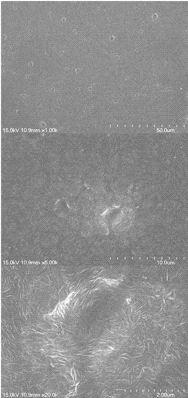 Nanometer antifogging film for fruits and vegetables and preparation method of nanometer antifogging film