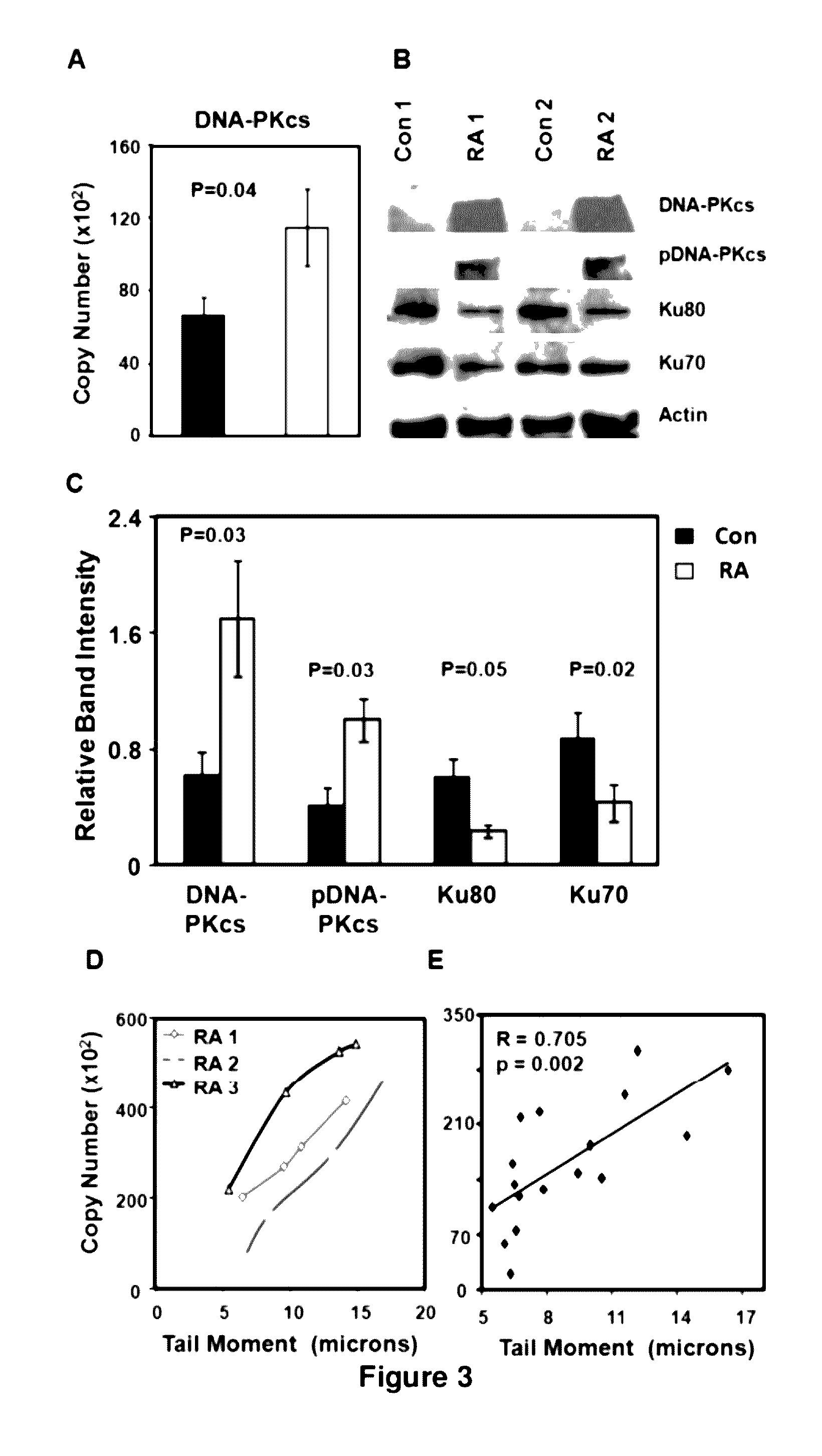 Method for improving immune system function by administering agents that inhibit DNA-dependent protein kinase-directed apoptosis