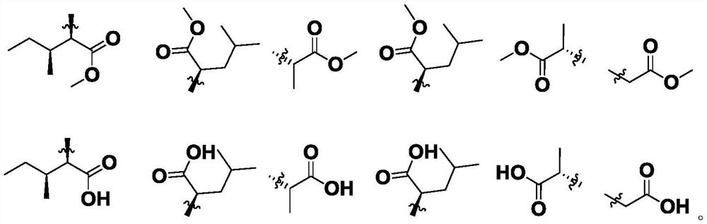 Amide-containing ferulic acid derivative as well as preparation method and application thereof