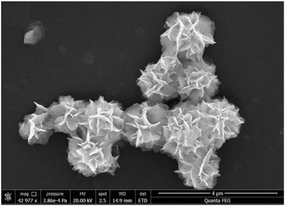 Preparing method for flower-shaped BiOI microspheres