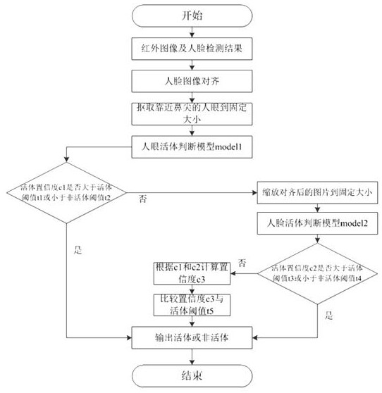 A Liveness Detection Method Based on Infrared Camera