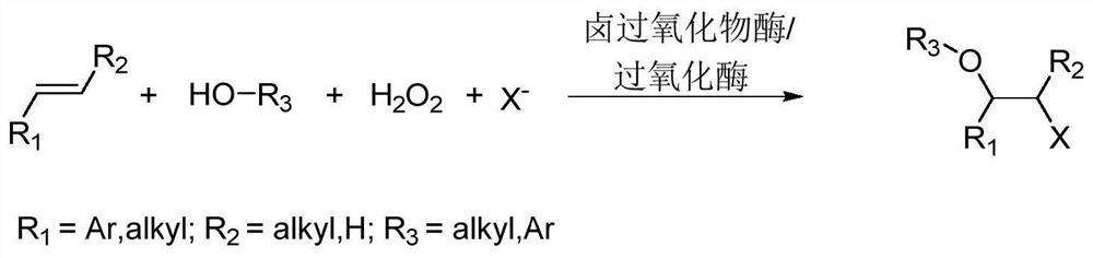 A kind of method for preparing β-haloether and β-halohydrin catalyzed by peroxidase