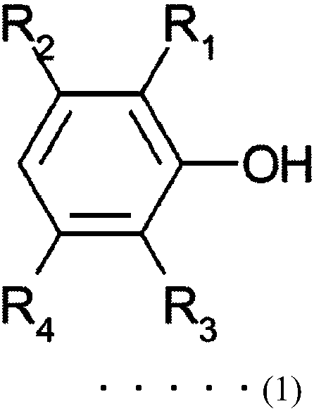 Polyphenylene ether powder and production method