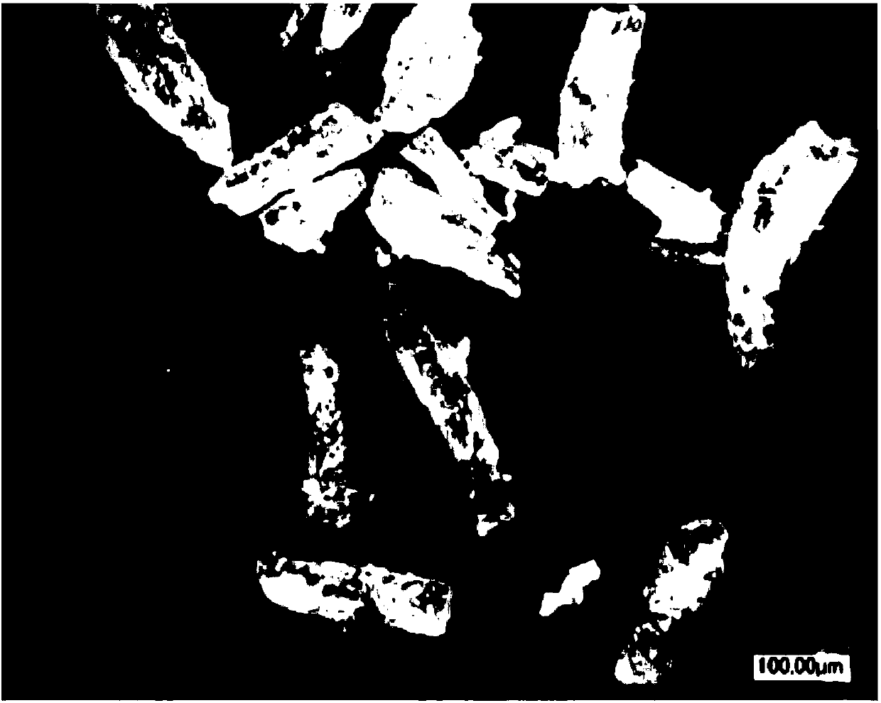 Polyphenylene ether powder and production method