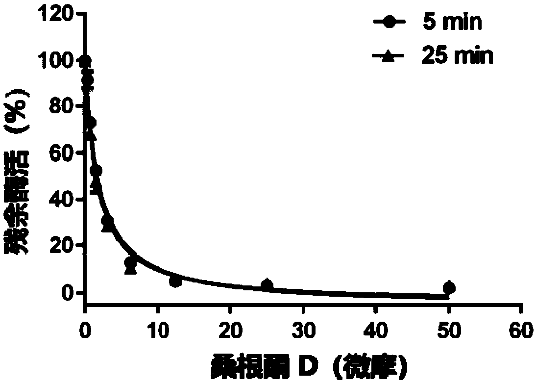 Application of sanggenone D in preparation of medicine or pharmaceutical composition for treating hyperlipidemia and/or obesity