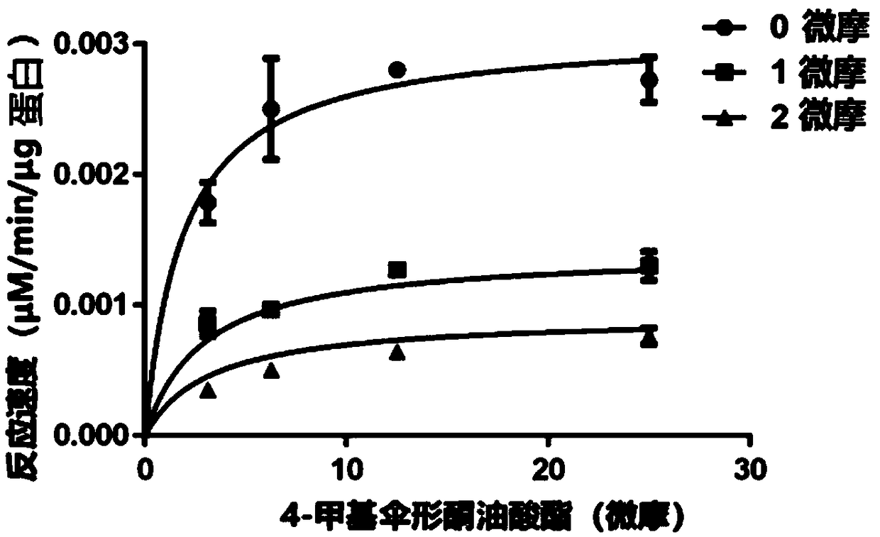 Application of sanggenone D in preparation of medicine or pharmaceutical composition for treating hyperlipidemia and/or obesity