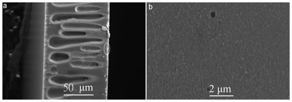 A porous ion-conducting membrane supported by an organic framework copolymer and its preparation and application