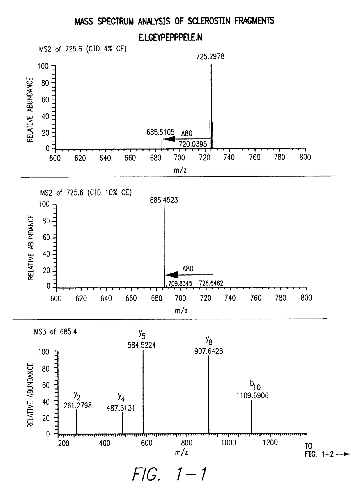 Sulfonated sclerostin, antibodies, epitopes and methods for identification and use therefor