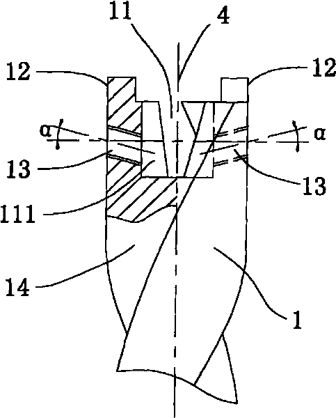 Head-changeable hard alloy twist drill