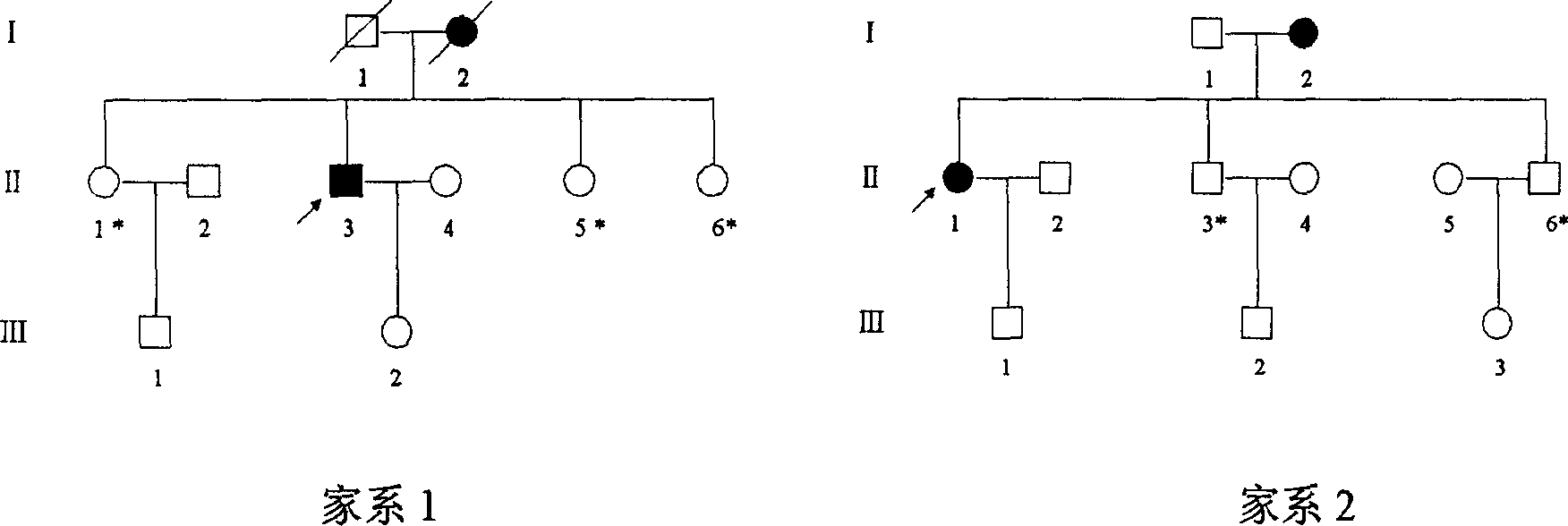 Atrial fibrillation peccant gene and use thereof