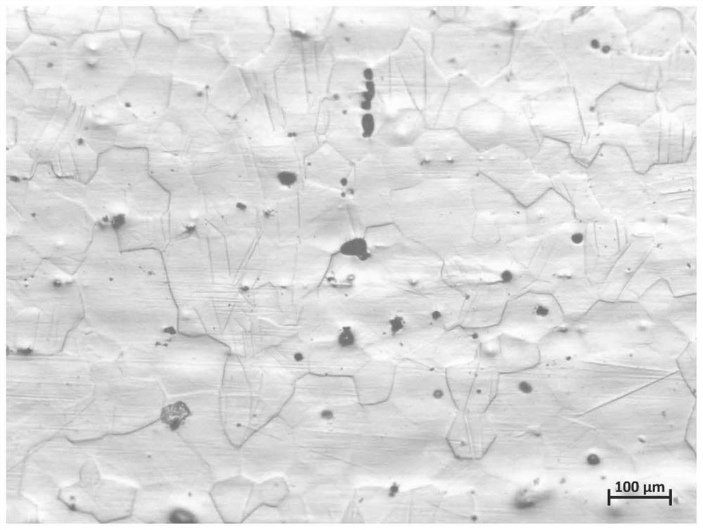 Processing method for improving high temperature creep properties of magnesium alloys by extrusion and hammering