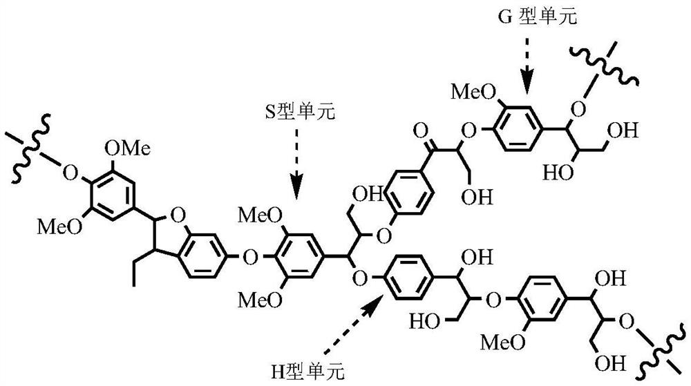 A preparation method of organosilicon-modified lignin-based strong oil-absorbing material