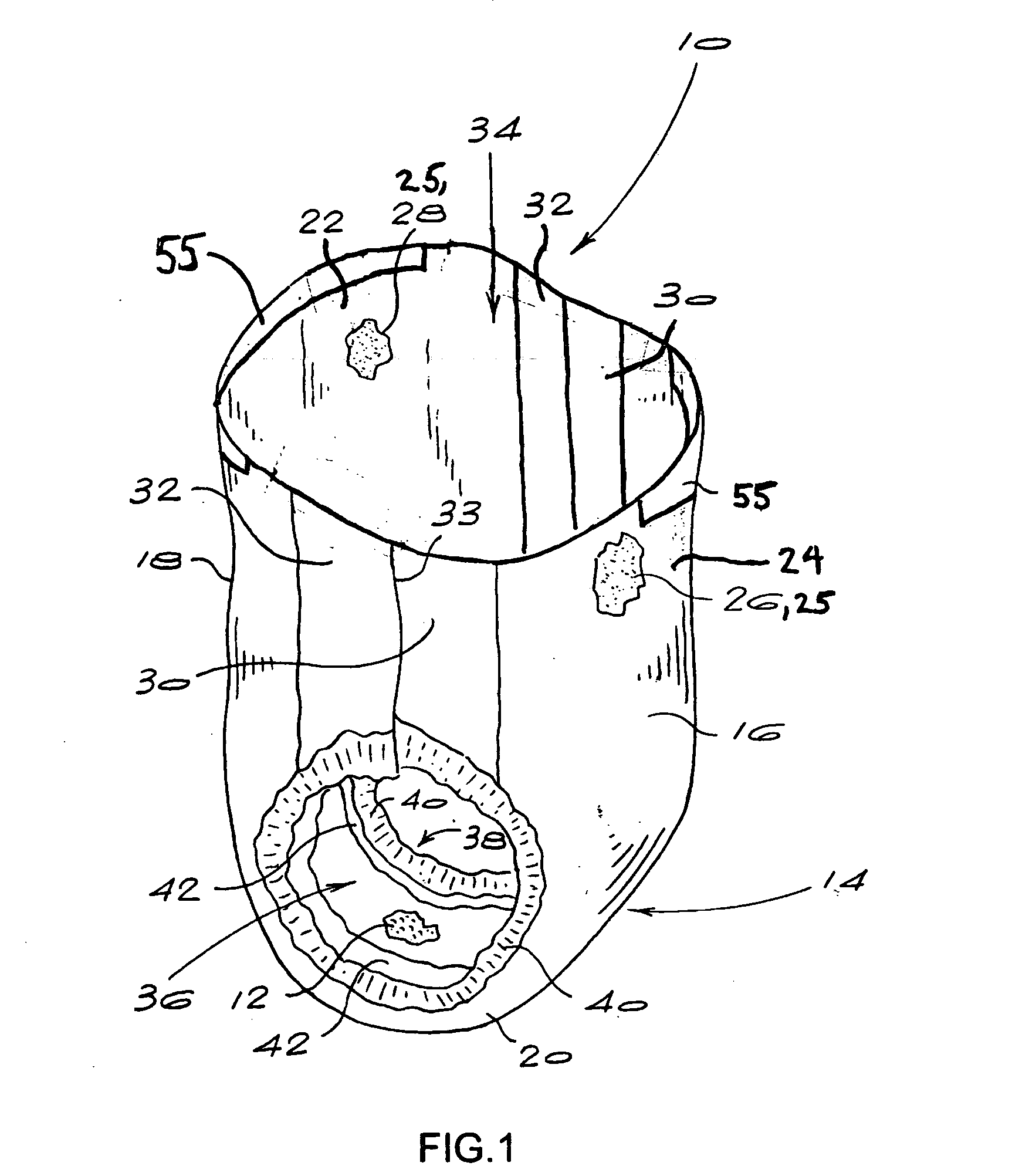 Absorbent article including a temperature change member