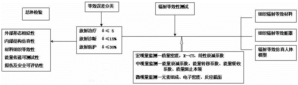 Anthropomorphic phantom manufacturing method based on radiation detection