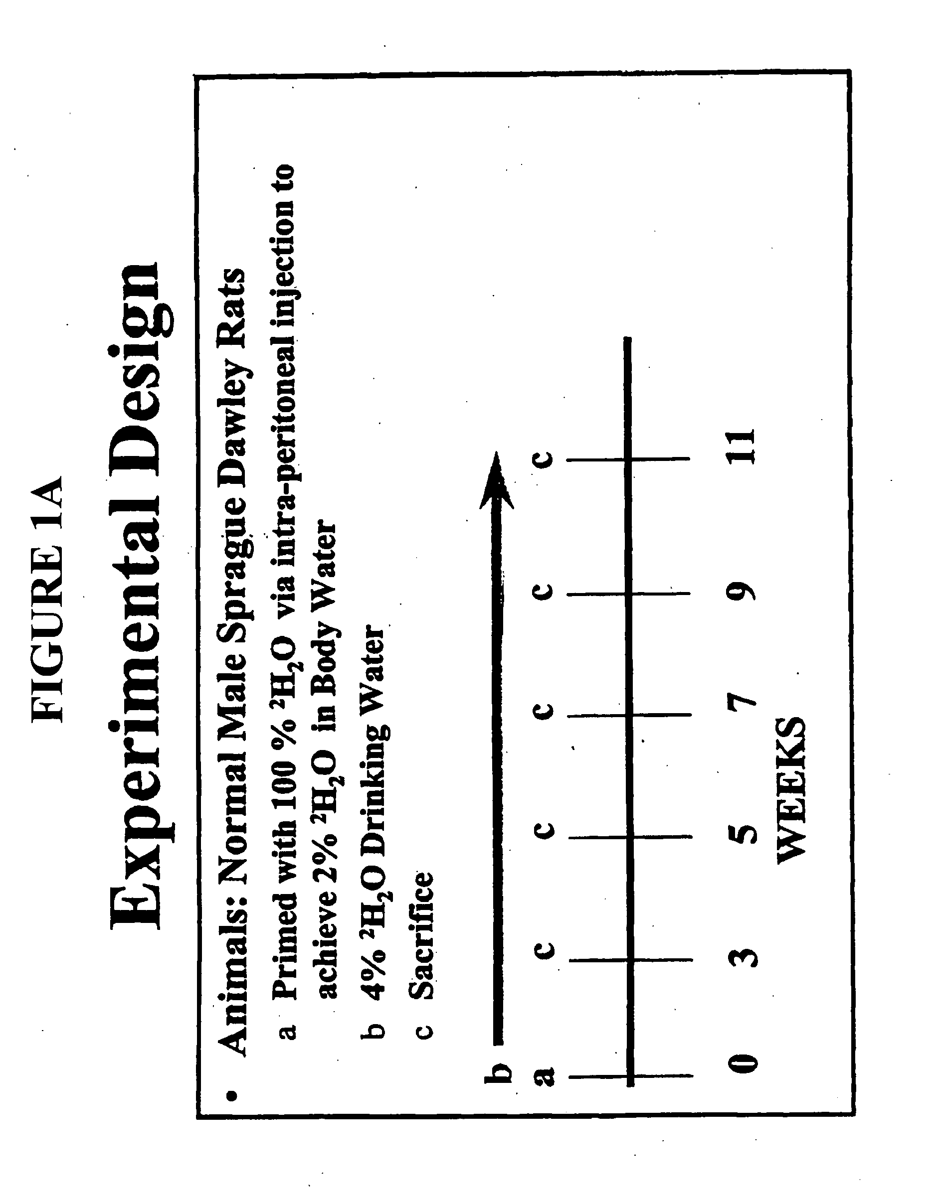 Biochemical methods for measuring metabolic fitness of tissues or whole organisms