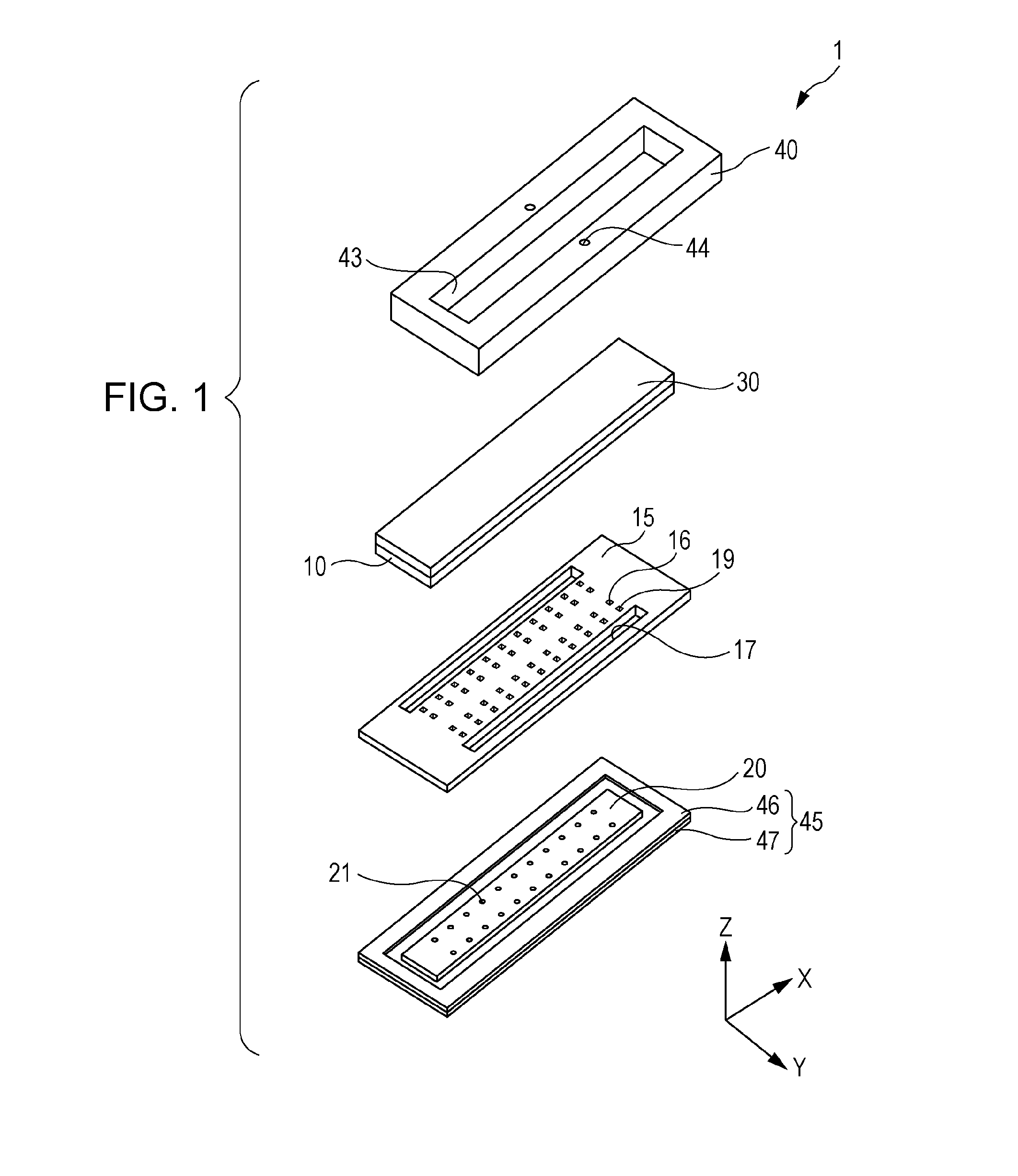 Head and liquid ejecting apparatus