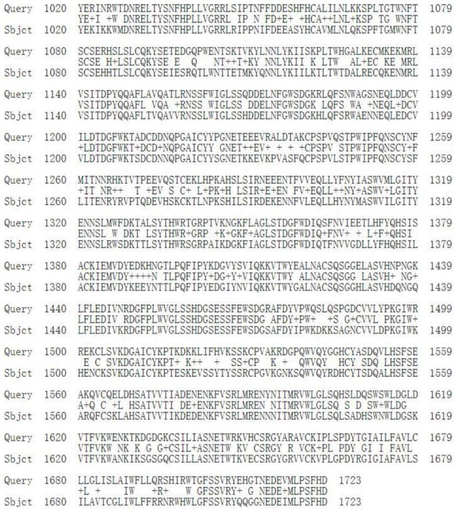 Staphylococcus aureus TRAP targeted recombinant protein antigen and application thereof