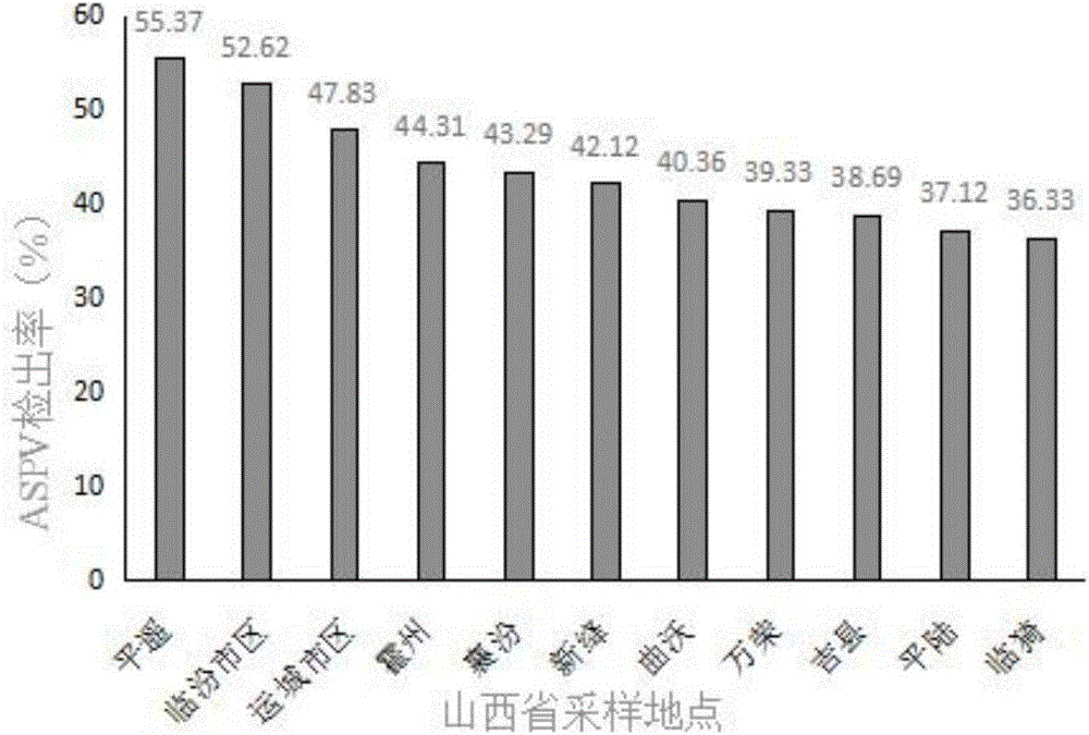 Preparation method for multiplex immunocolloidal gold test strip used for apple latent viruses