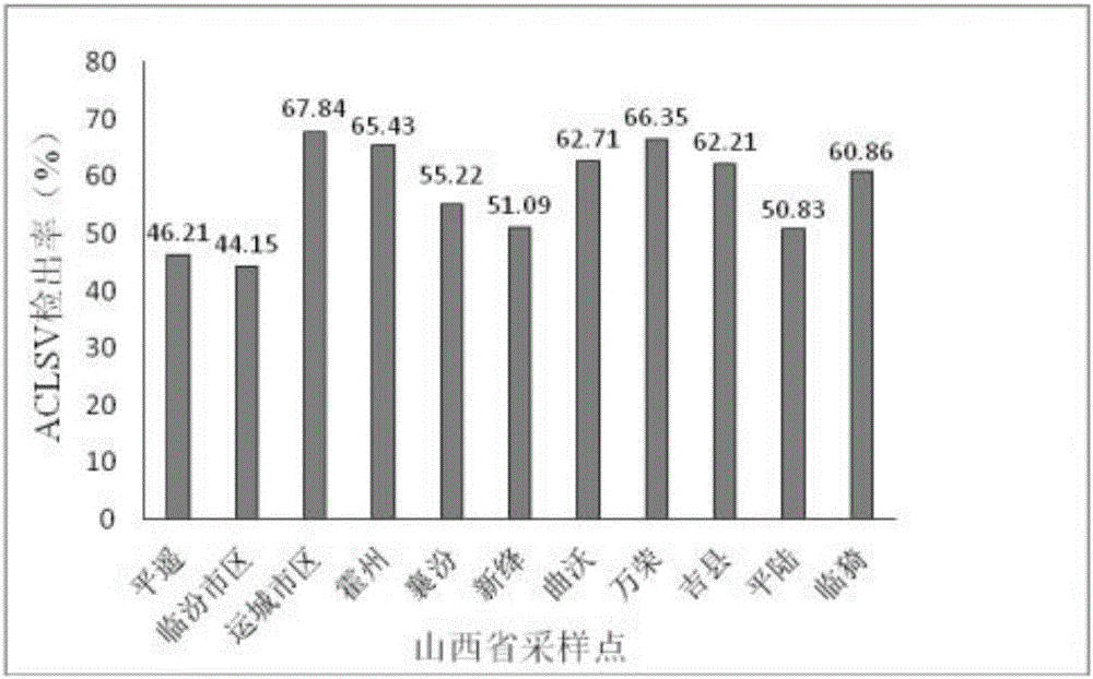 Preparation method for multiplex immunocolloidal gold test strip used for apple latent viruses