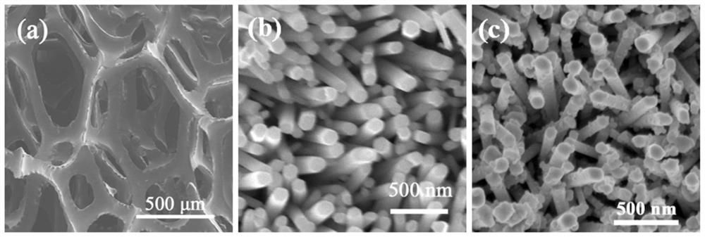 Composite photocatalytic material and preparation method and application thereof